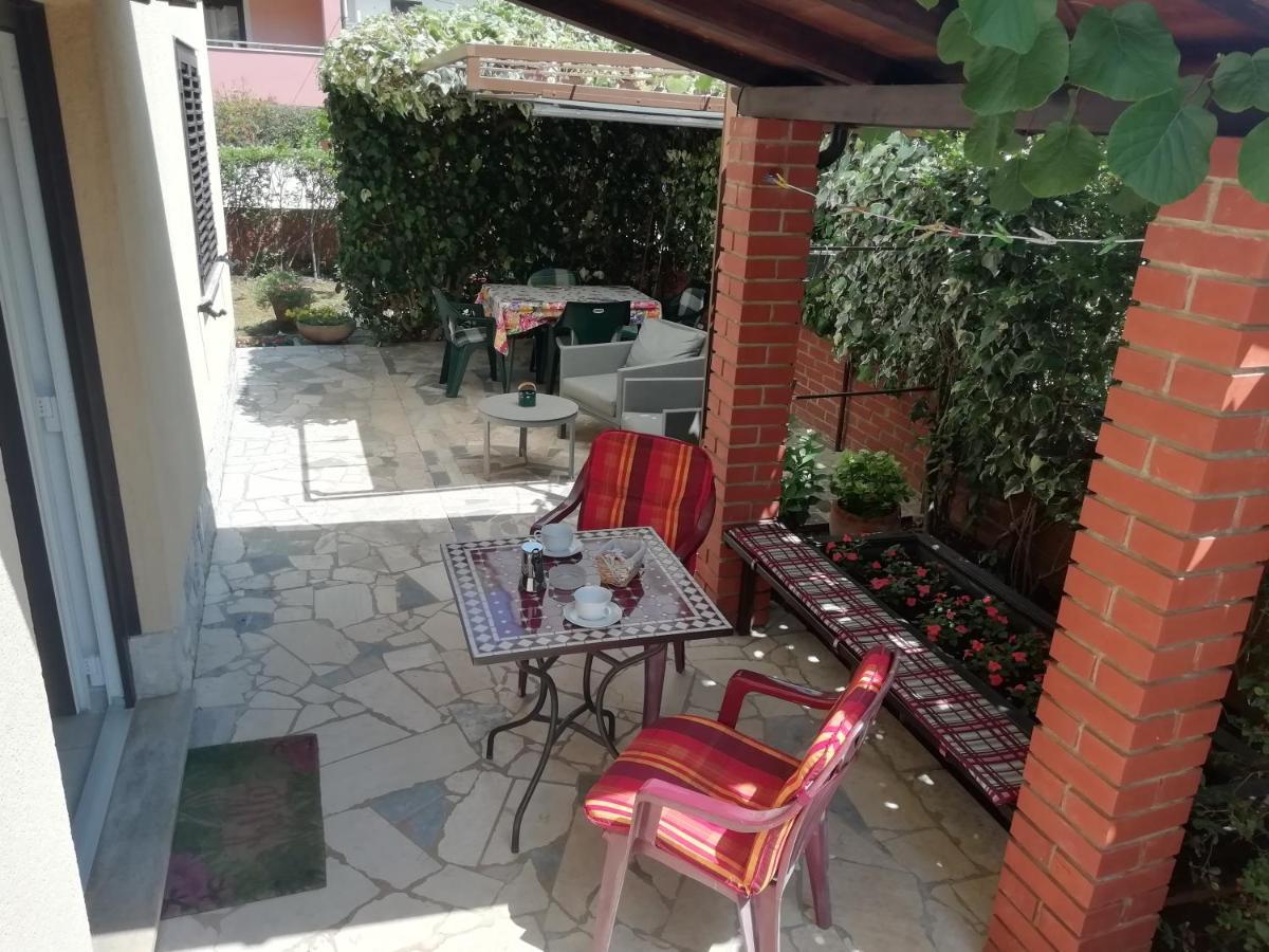 Apartments Mirella Novigrad  Exterior photo